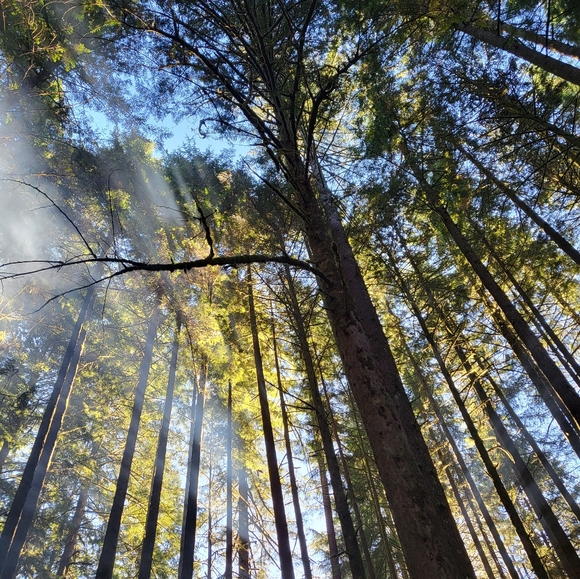 Meet your Posher, Patricia - Picture 1 of 2